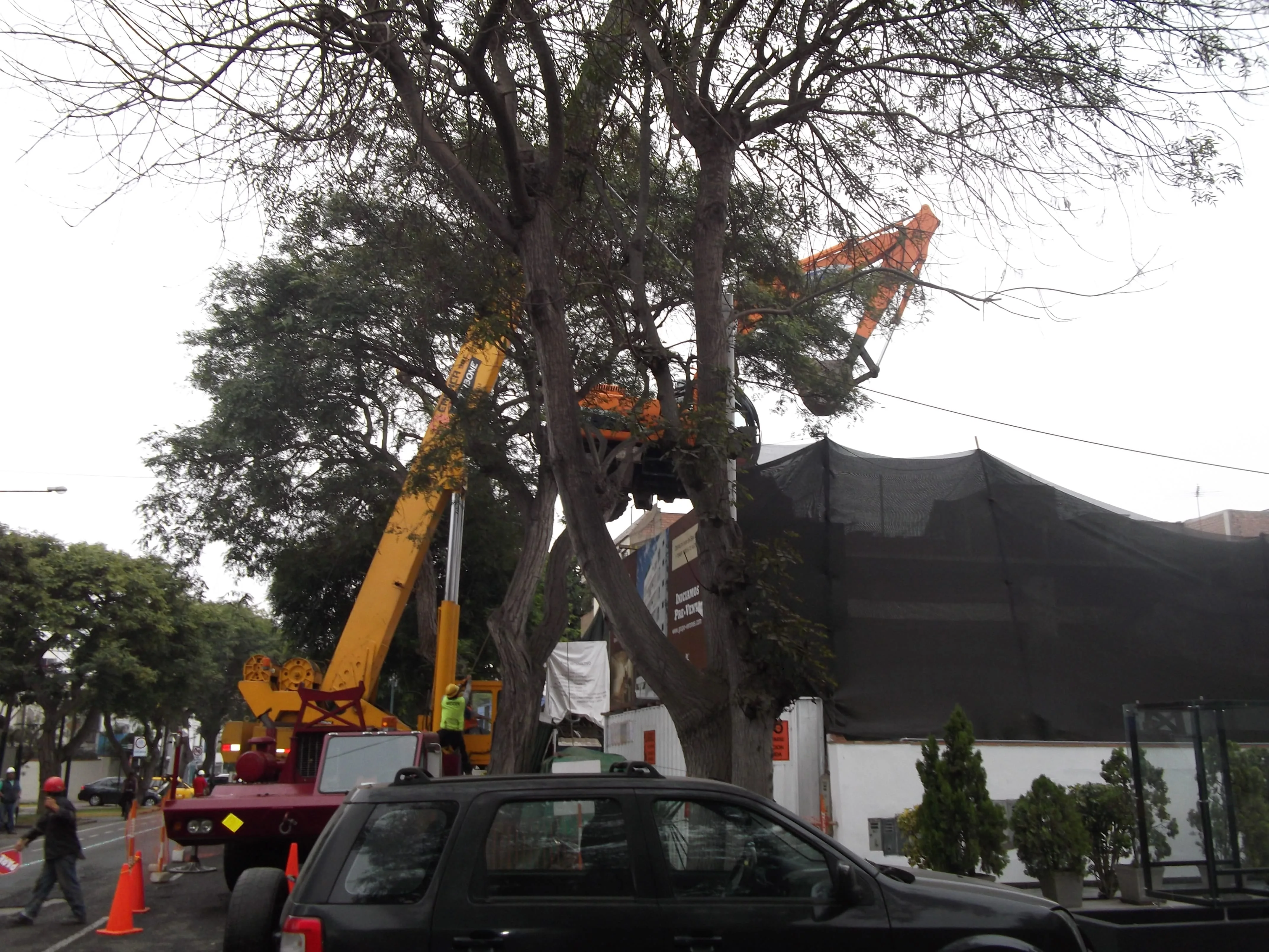 Equipo de construcción trabajando en obra